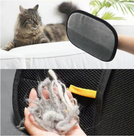 Two-panel image showing a cat beside a black glove above, and a gloved hand displaying a clump of fur below.