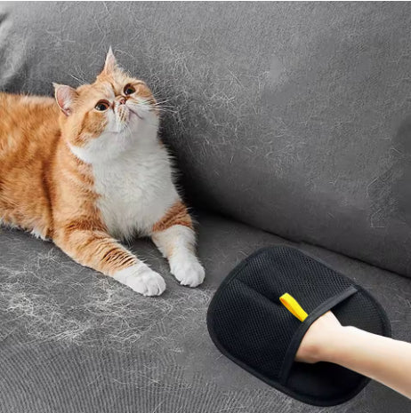 An orange-and-white cat sits on a gray sofa beside a hand wearing a black grooming glove.