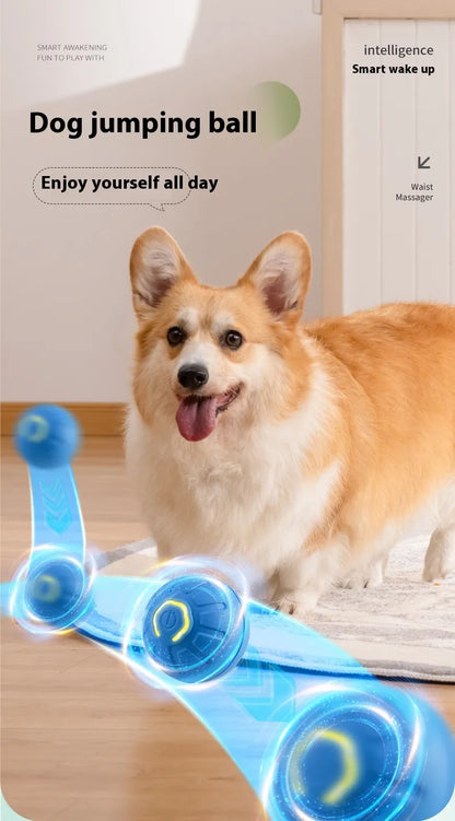 A dog beside a blue ball with a blue motion-trail graphic; overlaid heading reads ‘Dog jumping ball.’