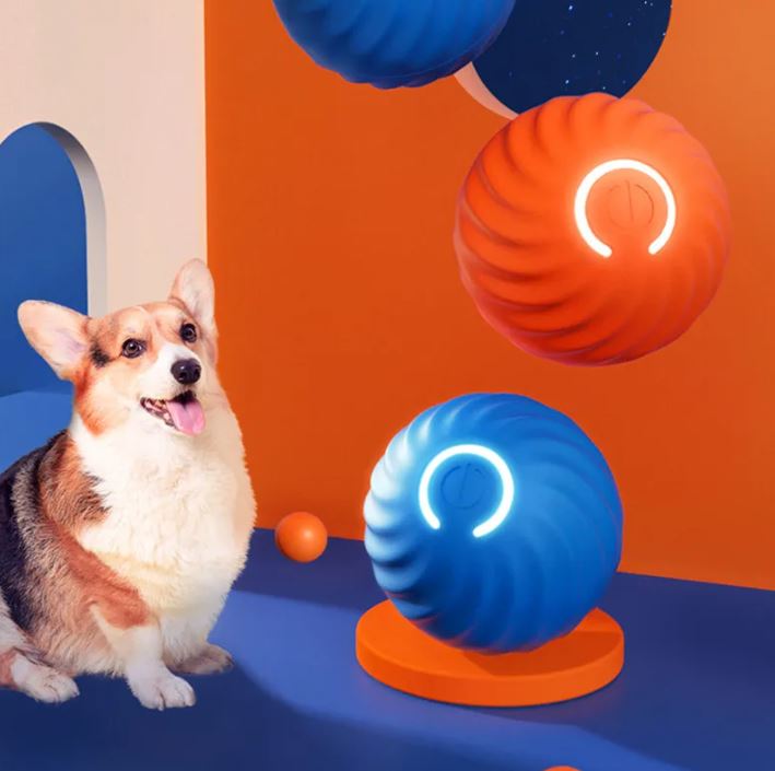 A small dog beside blue and orange ribbed balls in a blue-and-orange display scene.
