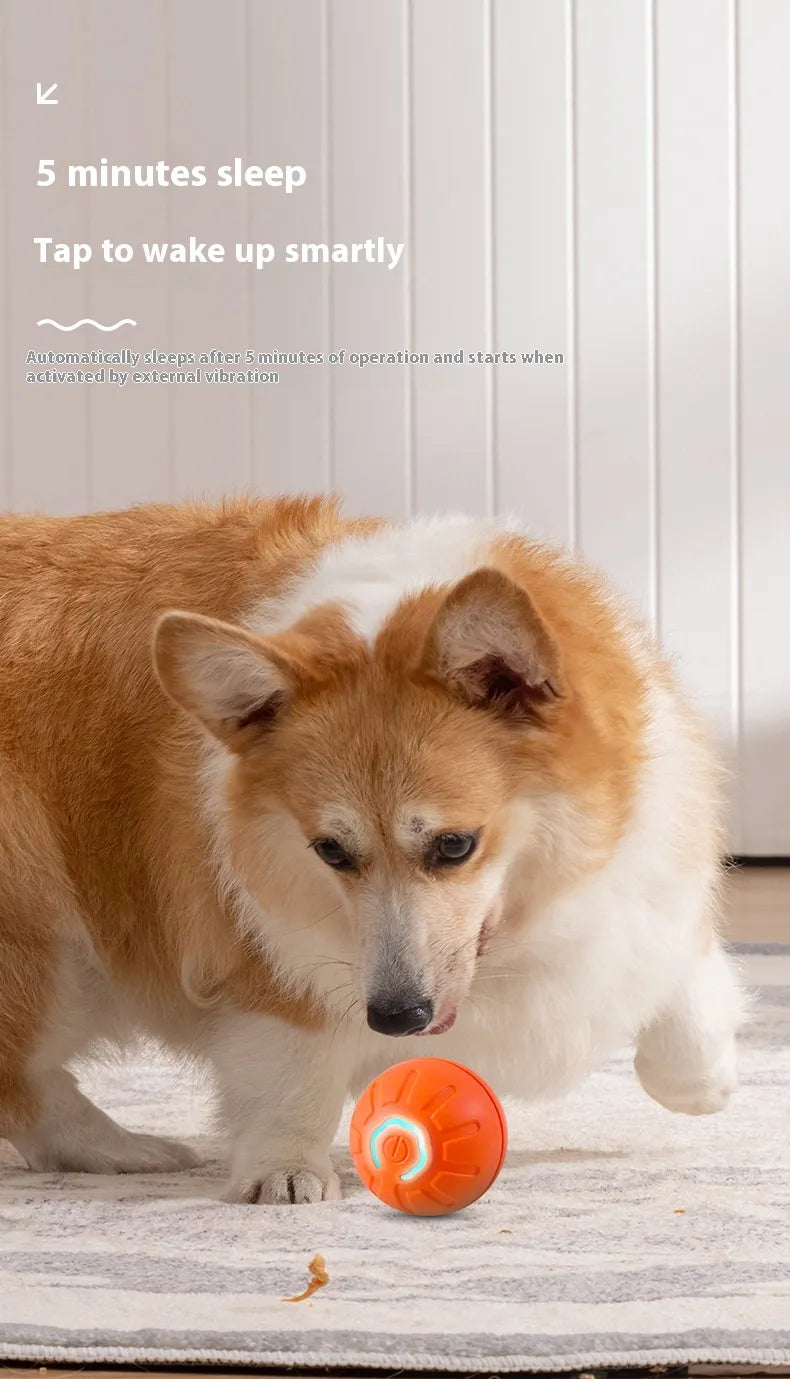 A dog looks down at an orange ball on a light floor; small overlaid text appears above the dog but is not legible.