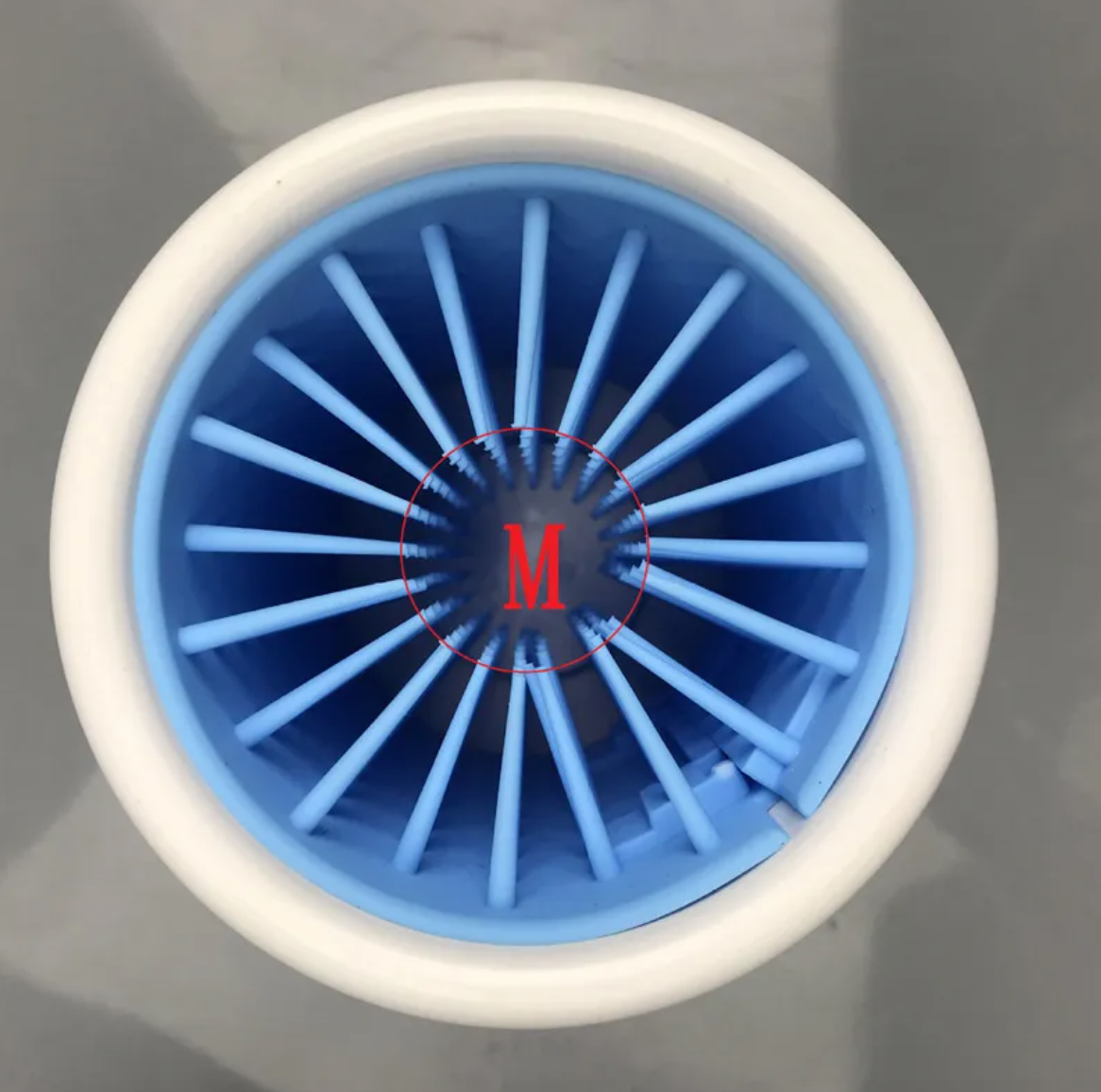 Close-up looking into the cup, showing blue radial fins inside a white rim and a small red detail at the center.