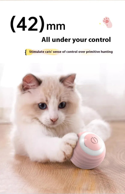 A cat sits beside a pink ball; the graphic displays ‘(42) mm’ and ‘All under your control.’