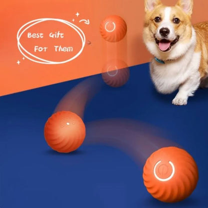 Orange ribbed ball beside two more orange balls and a small dog on a blue-and-orange background.